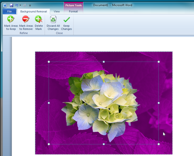 Remove the background of a picture in Office - Microsoft Support