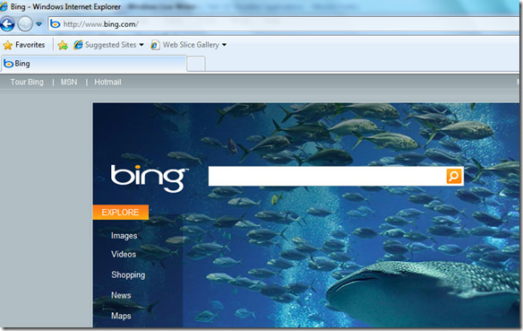 IE8