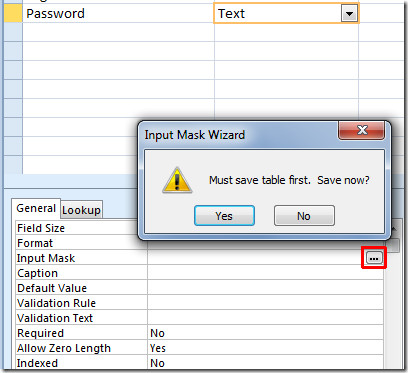 input mask