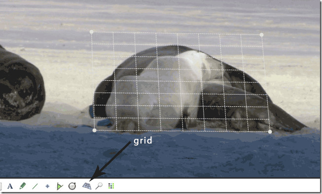 gridoverlay gridoverlay