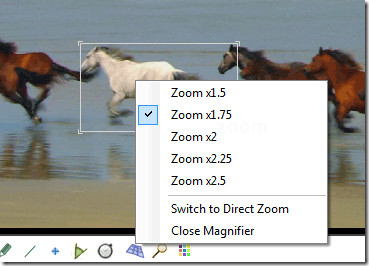 zoomfeatures zoomfeatures