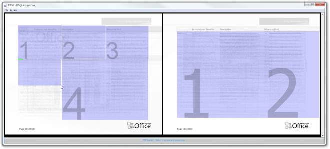 BRISS - BRigt Snippet Sire BRISS - BRigt Snippet Sire