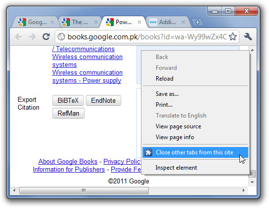 close Other Tabs fromt his site