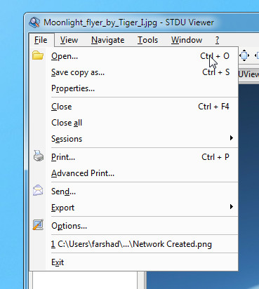 Moonlight_flyer_by_Tiger_I