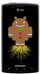 captivate-gingerbread-root
