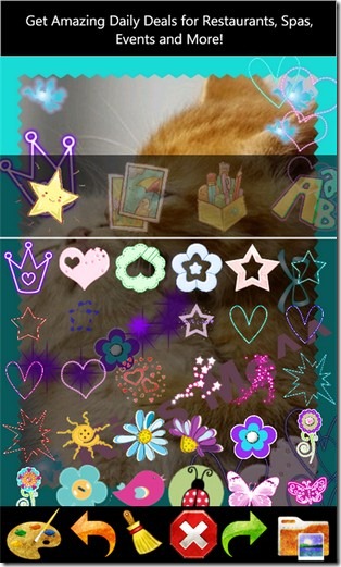 PuriClub Stamp Collection