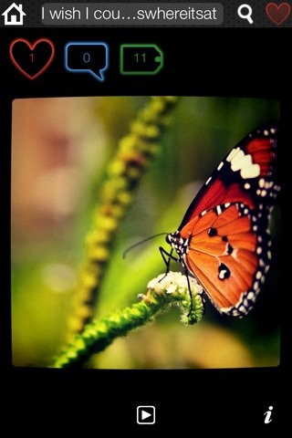 InstaFlow Viewer InstaFlow Viewer