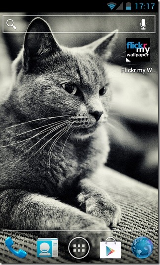 Flickr-my-Wallpaper-Android-Wallpaper Flickr-my-Wallpaper-Android-Wallpaper