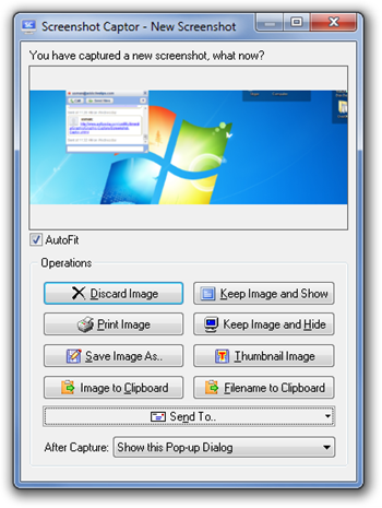 screen capture for windows free download