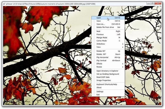 pViewer pViewer