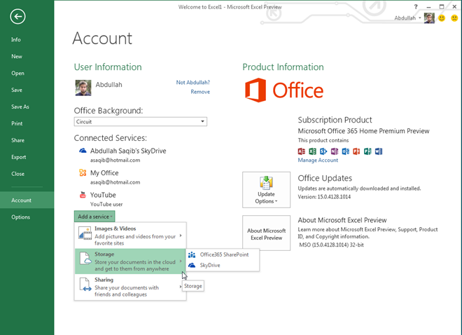 Excel 2013 Account Page