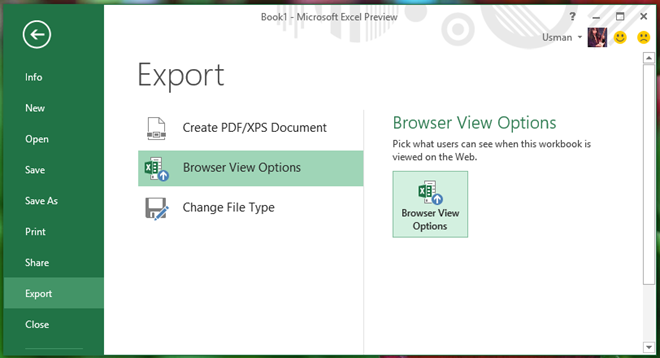Excel 2013 Browser View Settings