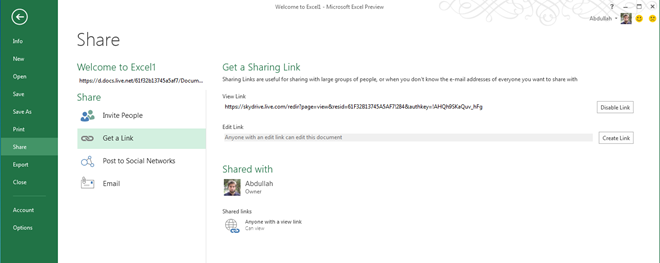 Excel 2013 Sharing Links