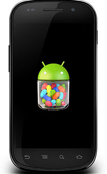 Jelly-Bean-On-Nexus-S