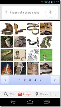 Google-Now-Smart-Cards-Android-Images1