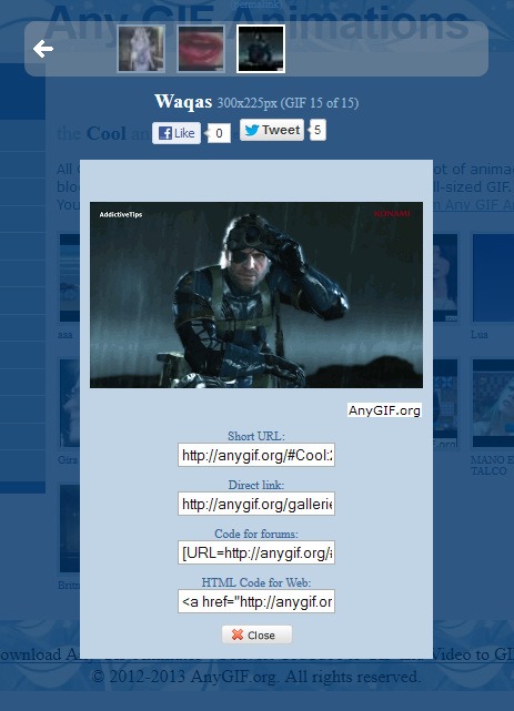 Any GIF Animator_Publish Any GIF Animator_Publish