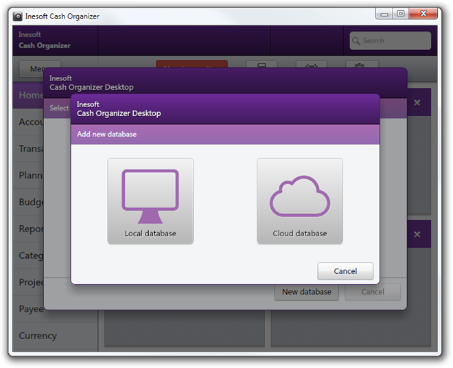 Inesoft-Cash-Organizer-Local-or-Clou[1]