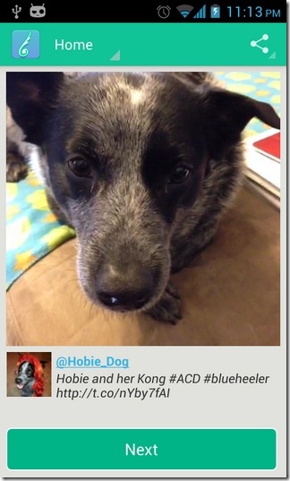 Vine-Flow-Android-Sample2