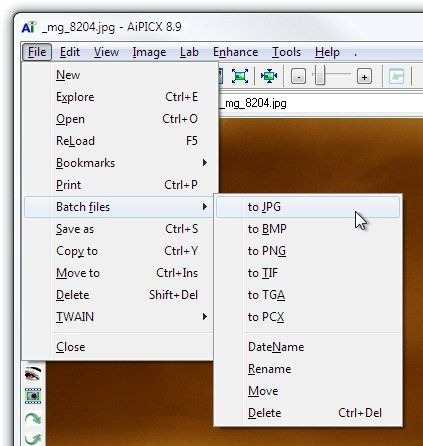 _mg_8204.jpg - AiPICX 8.9 2 File Menu _mg_8204.jpg - AiPICX 8.9 2 File Menu