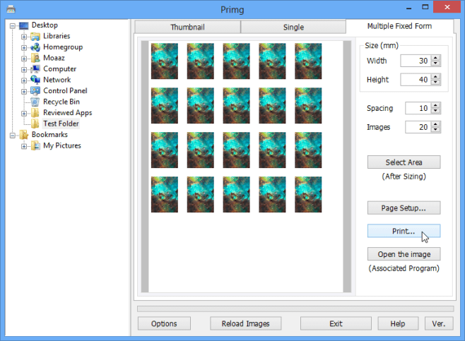 Primg's 'Multiple Fixed Form' tab