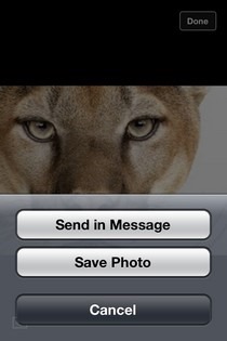 Facebook iOS Photo Shari Facebook iOS Photo Shari