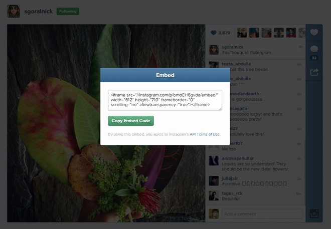 How to embed Instagram videos and photos on a website Step 5