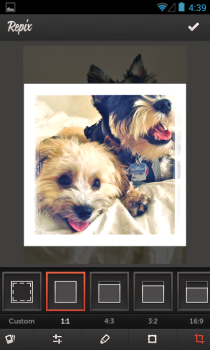 Repix Crop Repix Crop