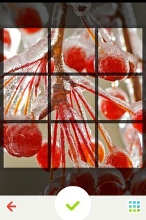 Instagrids iOS Grid Instagrids iOS Grid