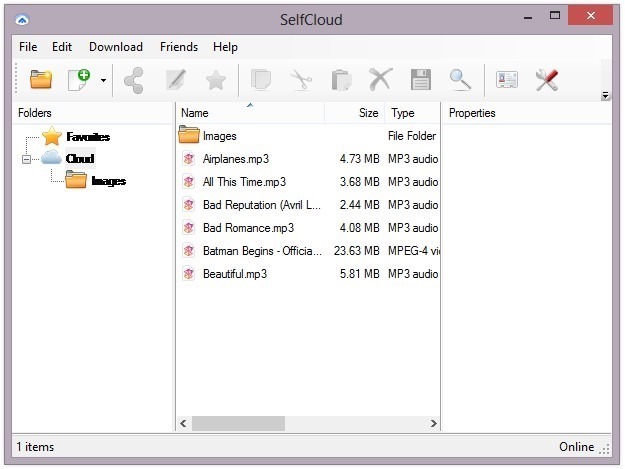 SelfCloud-Windows SelfCloud-Windows