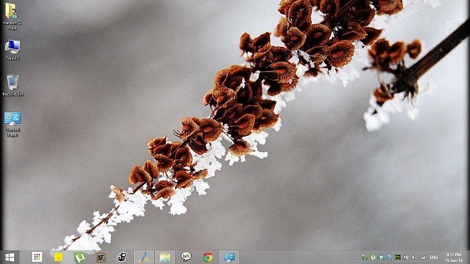 Winter Garden Theme for Windows 8.1