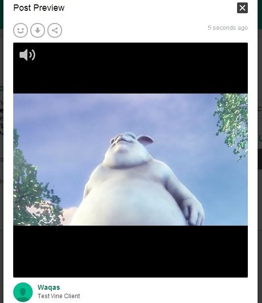 VineClient - Upload Video Preview VineClient - Upload Video Preview