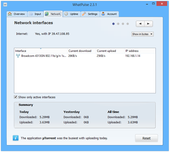 WhatPulse_Network WhatPulse_Network