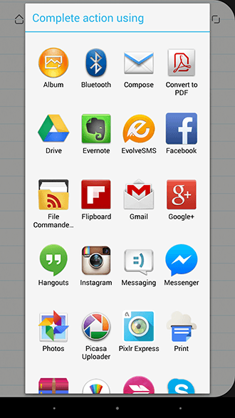 Bamboo Paper - Share