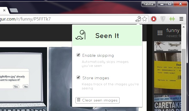 Skip Images You've Already Seen When Browsing The Imgur Gallery [Chrome]