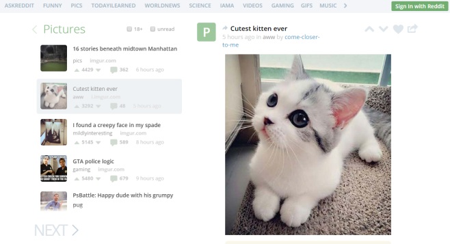 Cutest kitten ever - Uforio