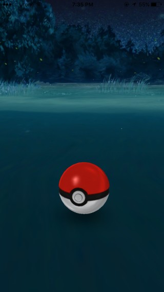 What To Do When Pokemon Go Gets Stuck At The 'Caught!' Screen