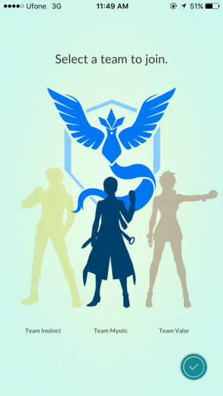 pokemon team selected