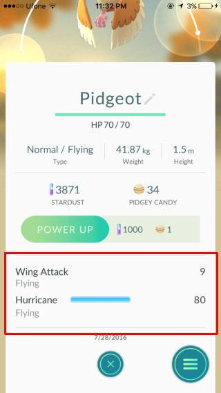 pidgeot