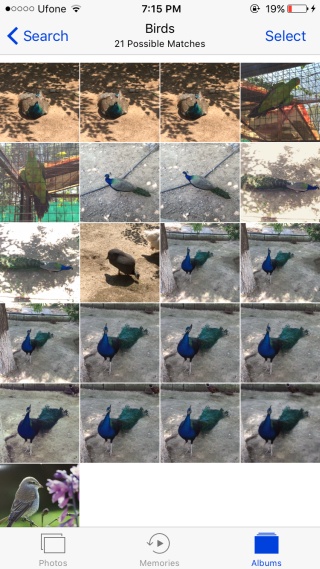 photos-search-results