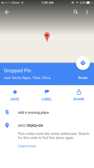 google maps pin details
