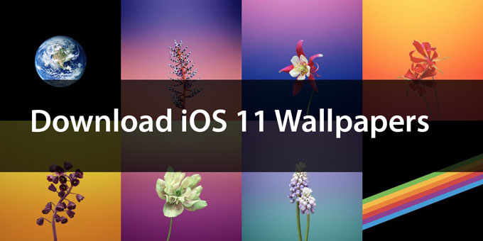 Download The Official iOS 11 Wallpapers For iPhone And iPad