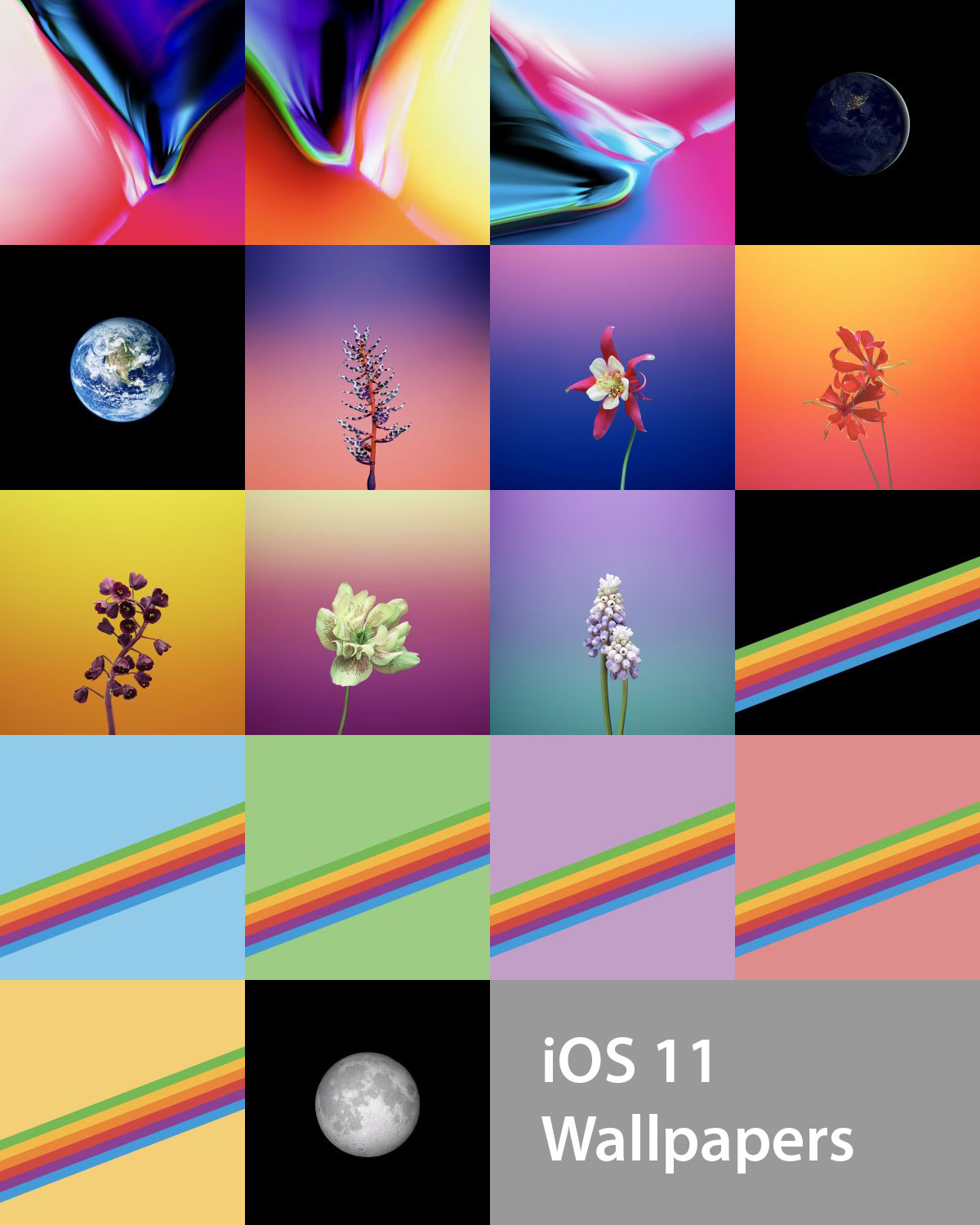 Download The Official iOS 11 Wallpapers For iPhone And iPad