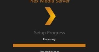 Route Plex with a VPN 6 -Plex setup