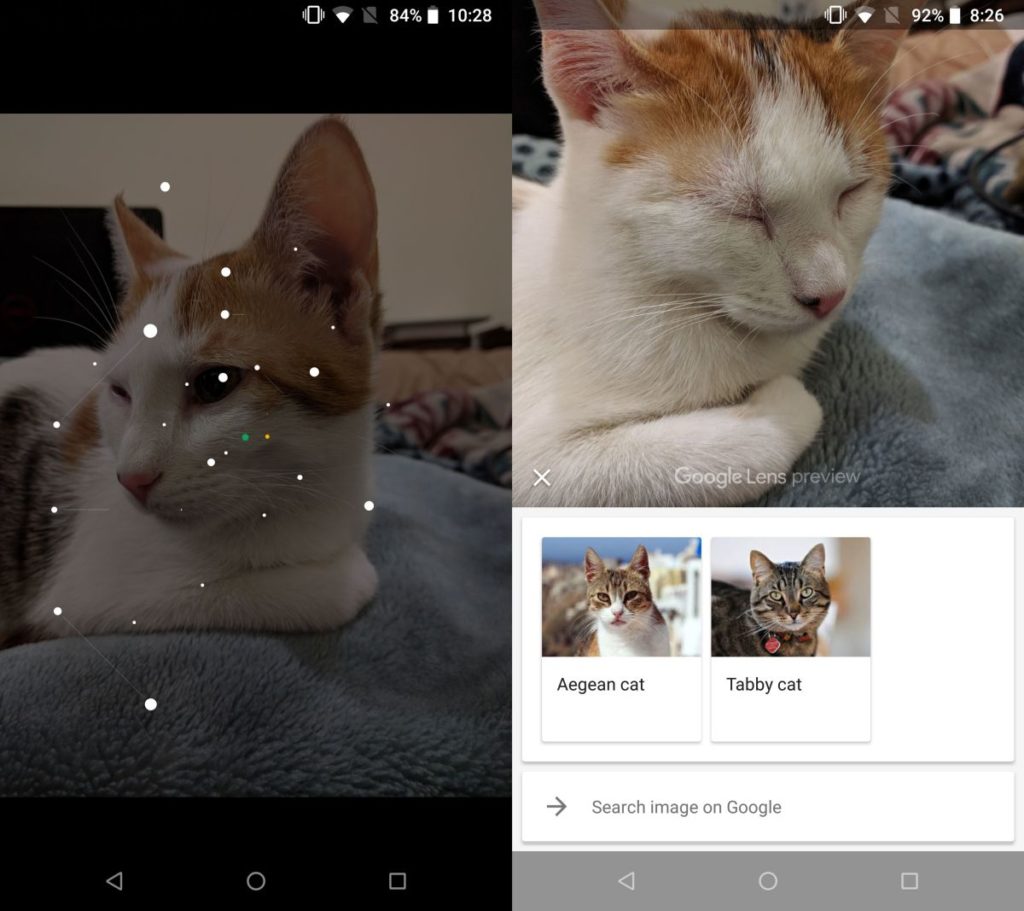 How To Use Google Lens To Identify Objects In Photos