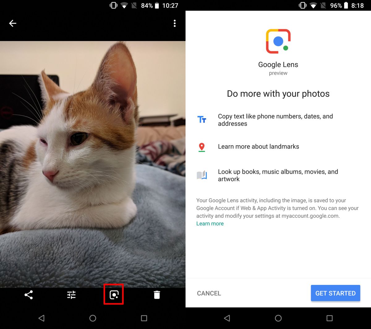Can Google identify a photo?