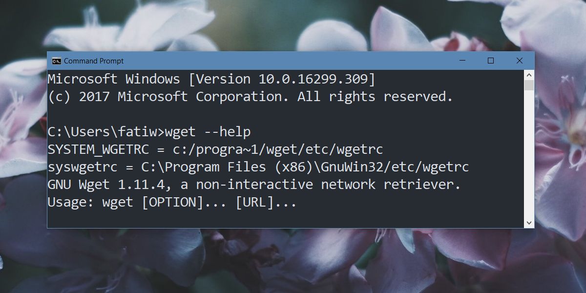 Wget download file