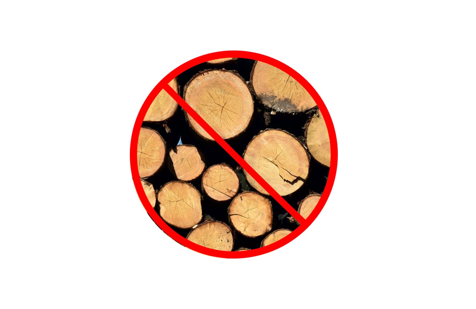 What Are VPN User Logs, And Why Are They Important?