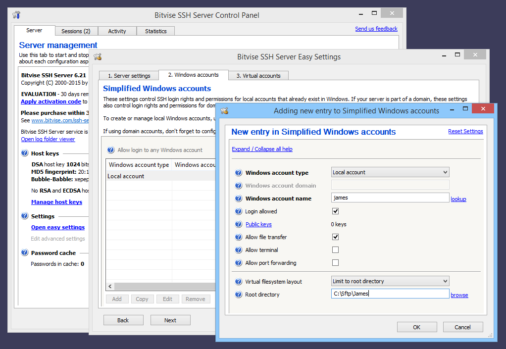 Bitvise Server