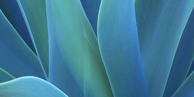 How To Download Every iOS and macOS Wallpaper Ever