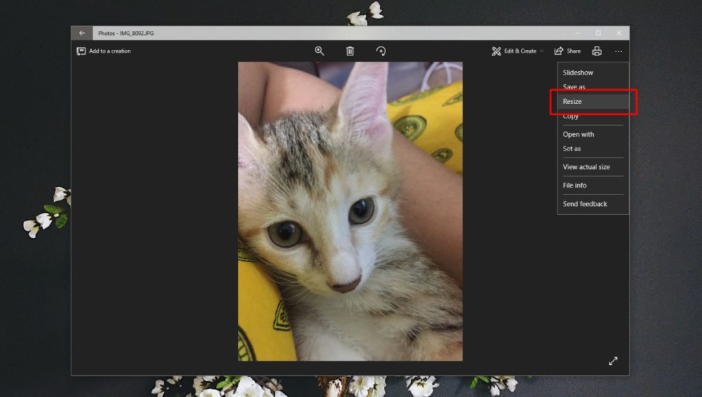 How to resize photos in the photos app on windows 10